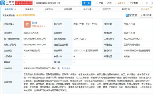 北京智行戰(zhàn)略布局湖南，投資新公司搶占信息系統(tǒng)集成服務(wù)市場(chǎng)