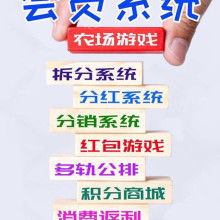 企業財務管理優化與財務咨詢服務價值